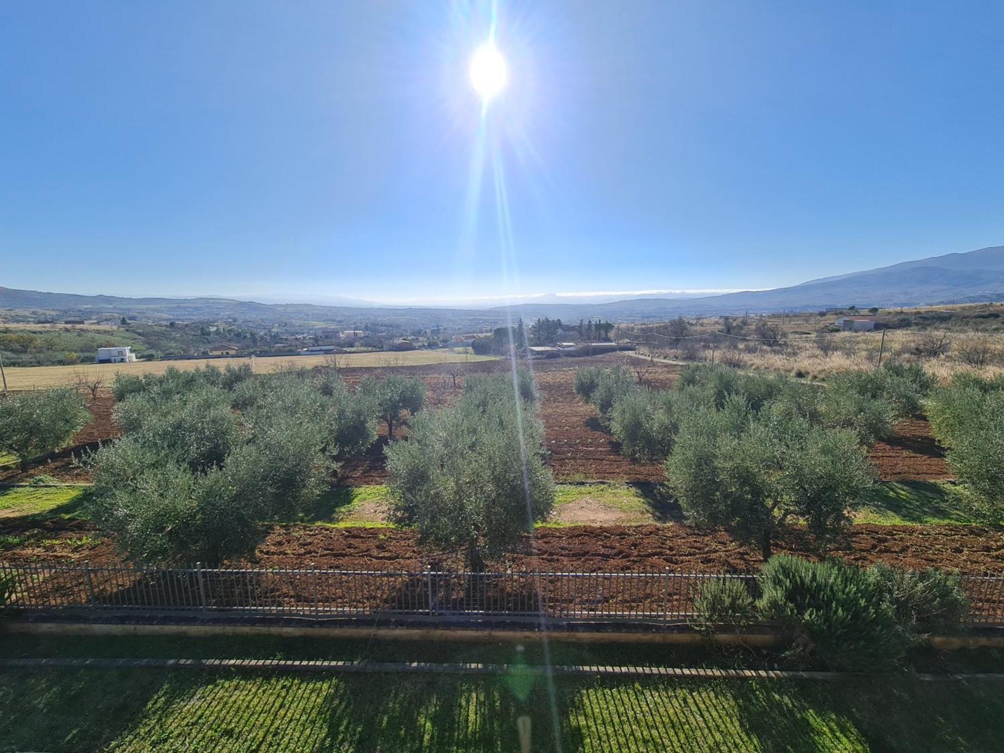 B&B La Petrosa Frascineto Екстер'єр фото